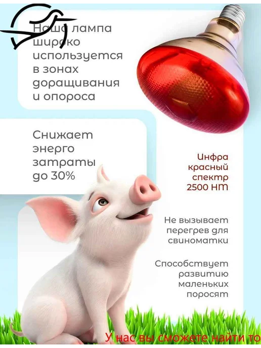 Лампа инфракрасная для обогрева 250Вт Е27, 100 Вт, фото 6