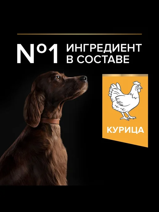 Сухой корм PRO PLAN Атлетических Everyday для собак, 14,3 кг, фото 2