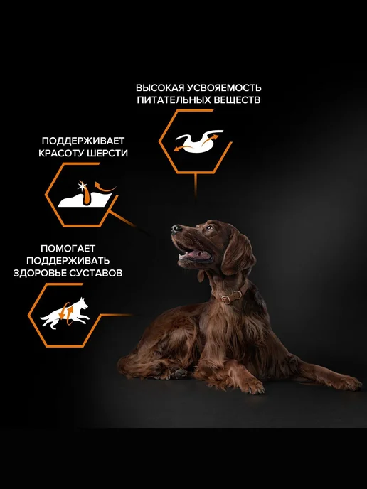Сухой корм PRO PLAN Атлетических Everyday для собак, 14,3 кг, фото 3