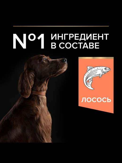 Сухой корм PRO PLAN Атлетических Skin для собак, чувствительное пищеварение, 14,3 кг, фото 2