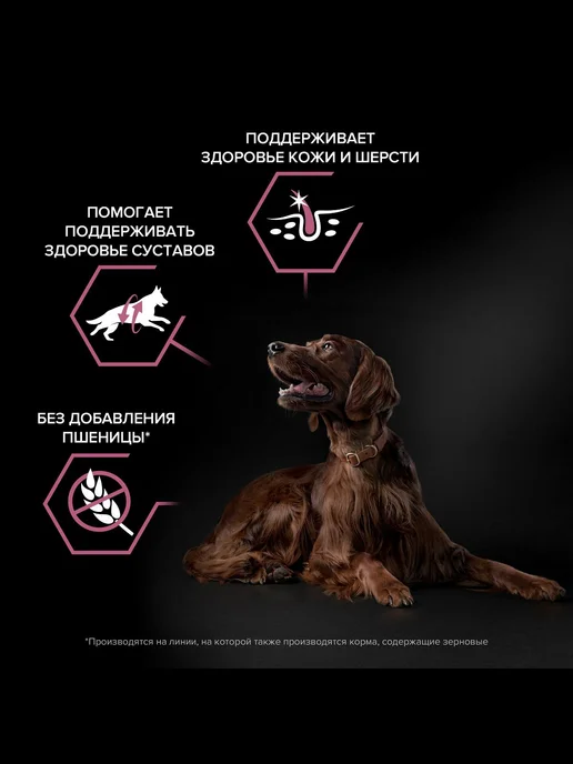 Сухой корм PRO PLAN Атлетических Skin для собак, чувствительное пищеварение, 14,3 кг, фото 3