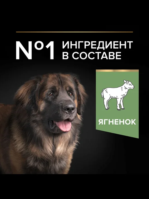 Сухой корм PRO PLAN Мощных для собак, ягненок, 14 кг, фото 2