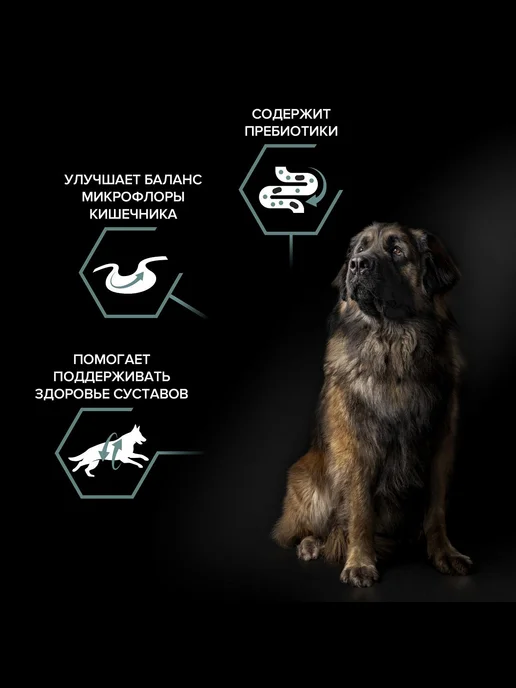 Сухой корм PRO PLAN Мощных для собак, ягненок, 14 кг, фото 3