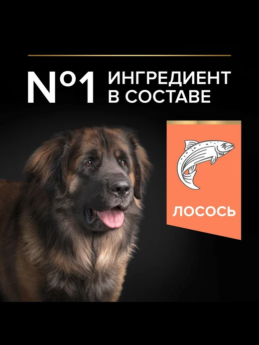 Сухой корм PRO PLAN Мощных Skin для собак, чувствительное пищеварение, 14,3 кг, фото 2