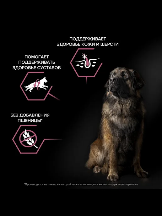 Сухой корм PRO PLAN Мощных Skin для собак, чувствительное пищеварение, 14,3 кг, фото 3